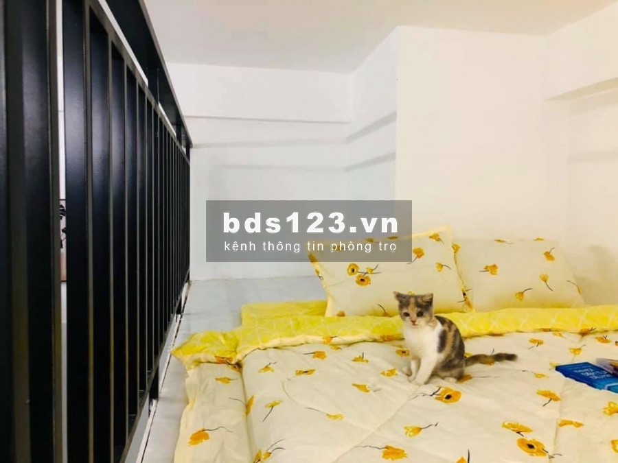 Cho thuê phòng Tân Phú giá rẻ mới xây, khu an ninh được nuôi pet