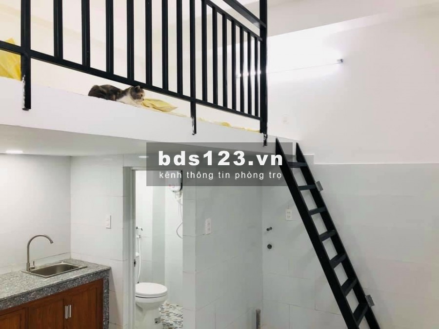 Cho thuê phòng Tân Phú giá rẻ mới xây, khu an ninh được nuôi pet