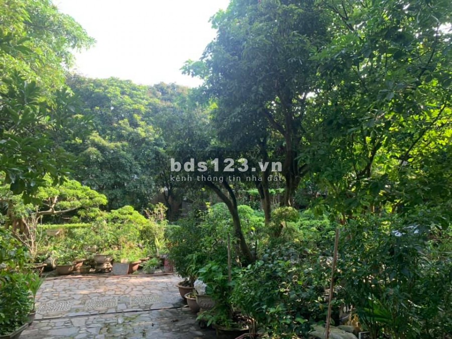 Bán gấp 2000m đất có nhà sổ đỏ vuông, lô góc tại Sóc Sơn, Nội Bài. Giá 18 tỷ. 0982668023