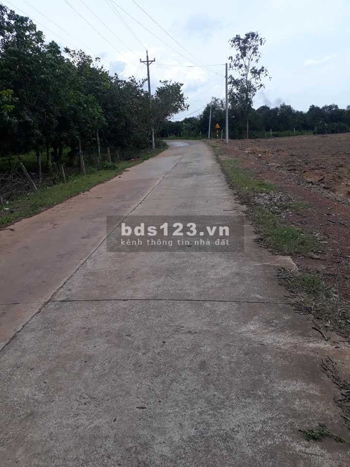 Bán đất vườn giá siêu Rẻ mùa covid, gần KCN, dân cư hiện hữu tại Bình Phước