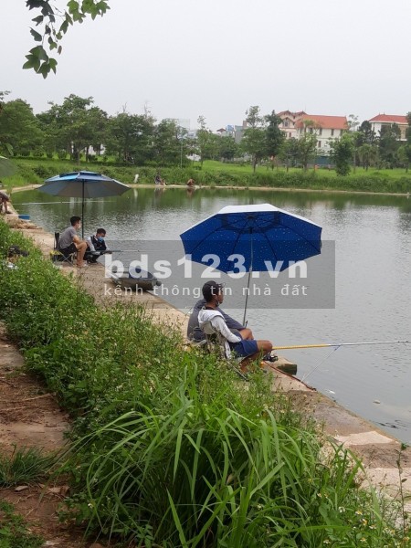 Đất nền New City Phố Nối. giá rẻ, vị trú đắc địa, liên hệ 0986306609