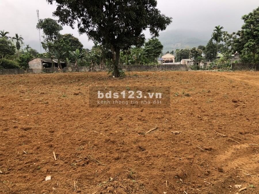 1568m2 có 200m thổ cư ao đa Cư Yên Lương Sơn, lh 0985988333