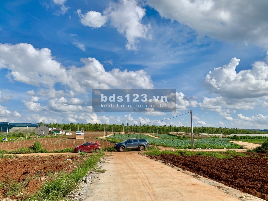 Đất Đơn Dương giá rẻ đầu tư, nhà ở, thổ cư 75m2, đất có sẵn sổ riêng
