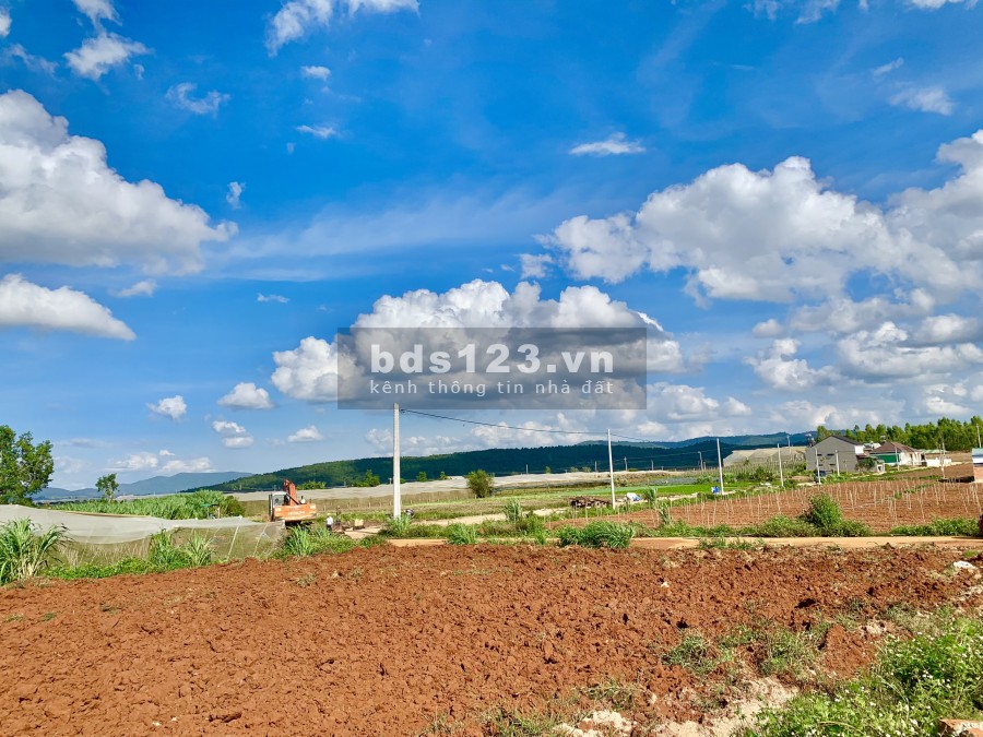 Đất Đơn Dương giá rẻ đầu tư, nhà ở, thổ cư 75m2, đất có sẵn sổ riêng