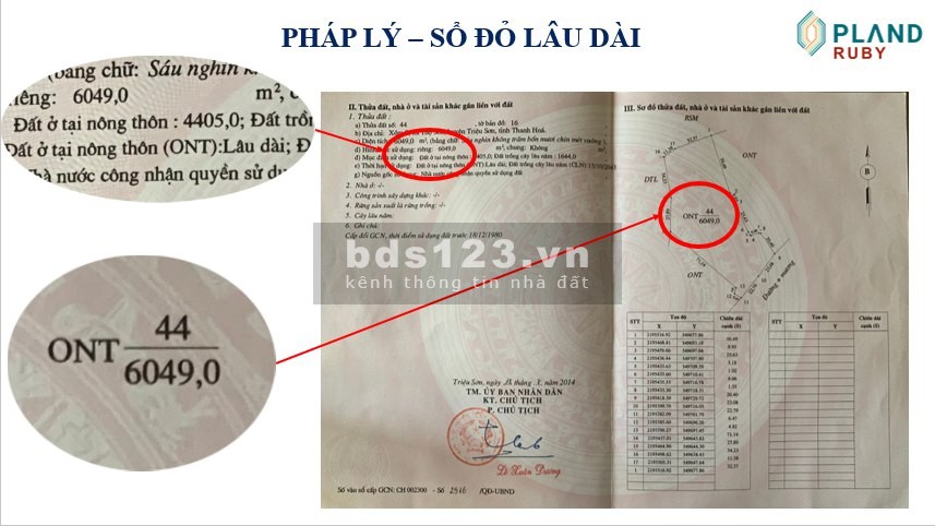 Bán nhanh lô đất vàng Triệu Sơn, Thanh Hóa để về bờ mùa Euro