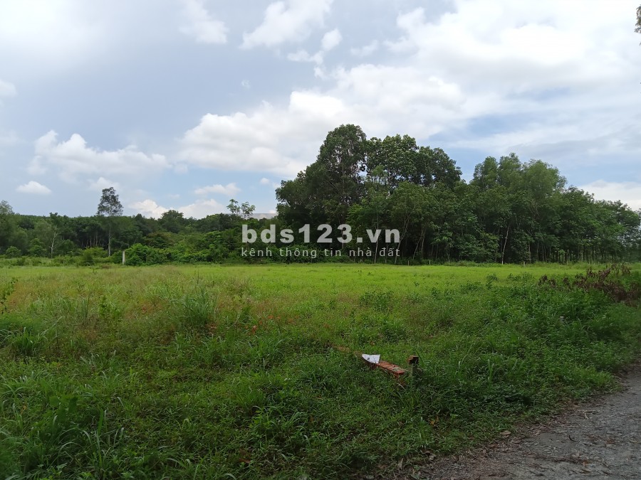 Đất nền vĩnh tân Tân Uyên giá rẽ ngay visip 2 đường thông tứ phía