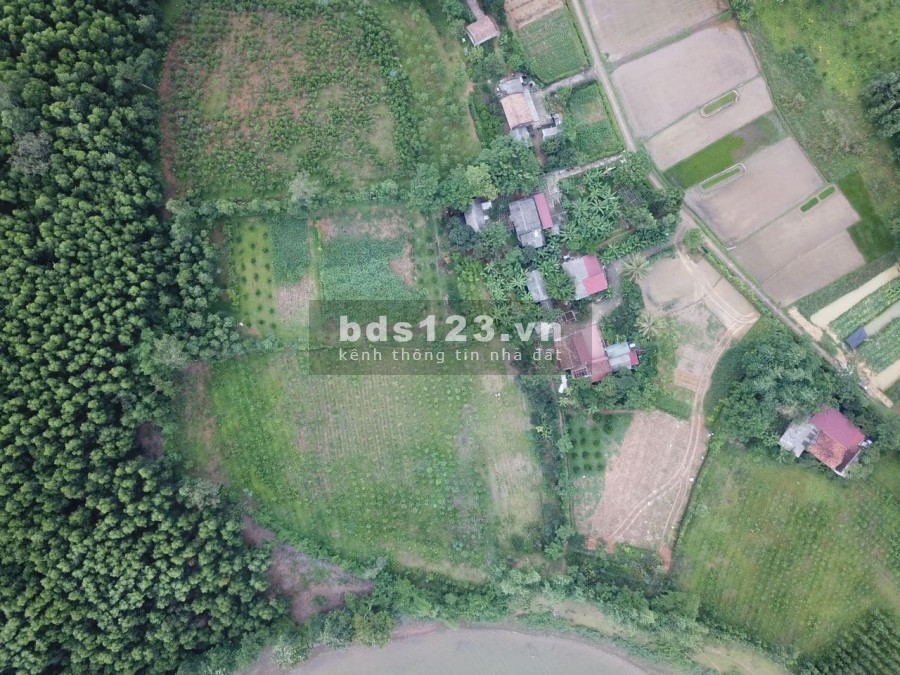 Bán nhanh lô đất vàng Triệu Sơn, Thanh Hóa để về bờ mùa Euro