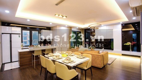 Cho thuê căn hộ chung cư Lạc Hồng West, 2 pn, dt 80m2, đầy đủ nội thất