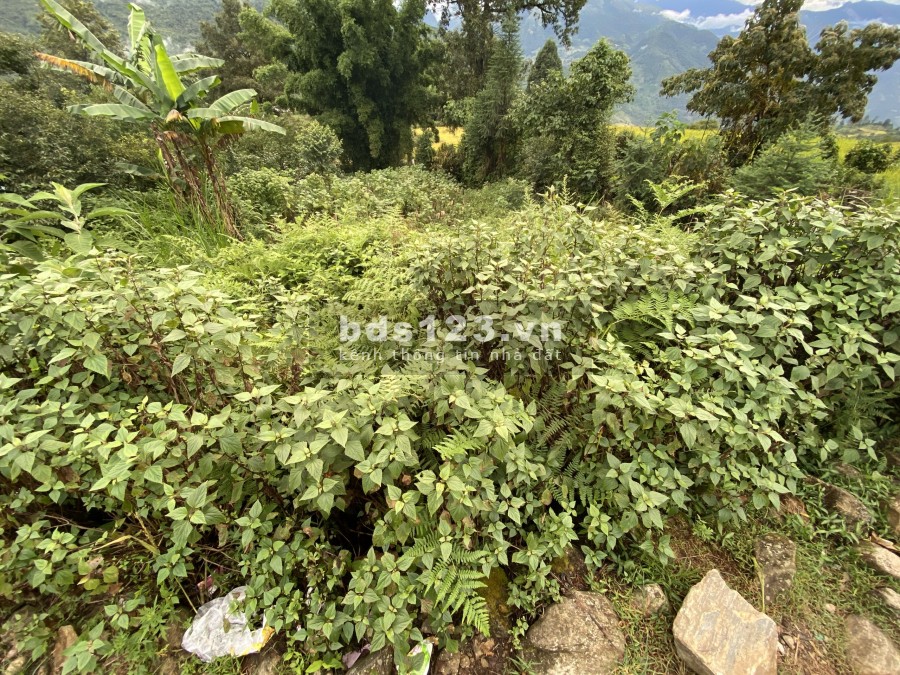 Đất Sapa 2 cơ hội đàu tư vô cùng hấp dẫn đang chờ bạn nắm bắt