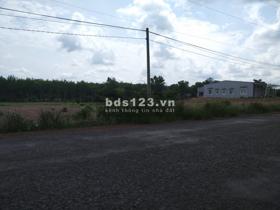 Bán gấp lô đất 2036m2, ngang 42m, mặt tiền đường 26m, bán giá 400 triệu