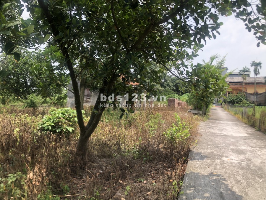 1000m2 đất full thổ cư giá tầm 2tr/m tại Dương Quang Mỹ Hào. Liên hệ ngay em báo giá.