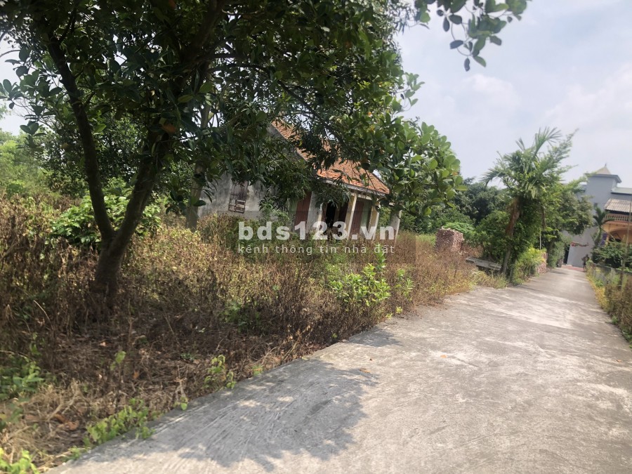1000m2 đất full thổ cư giá tầm 2tr/m tại Dương Quang Mỹ Hào. Liên hệ ngay em báo giá.