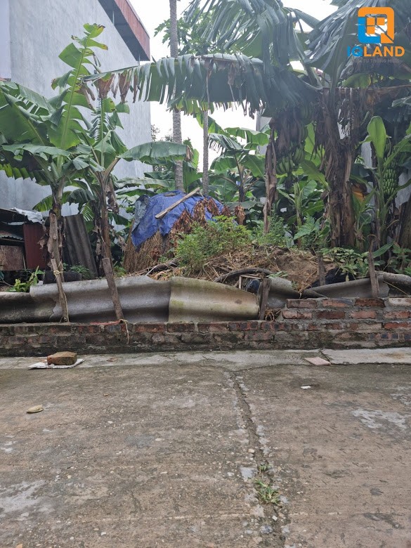 Chính chủ bán 2 lô ngay bìa làng, giá rẻ 61.6m và 62.3m ở Thôn Xuân Bách, Sóc Sơn, Hà Nội