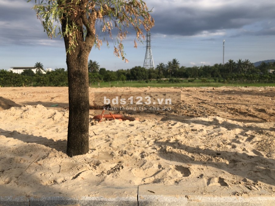 Siêu phẩm mặt tiền đường Lê Lợi chính sách ưu đãi siêu hấp dẫn, giá thoả thuận