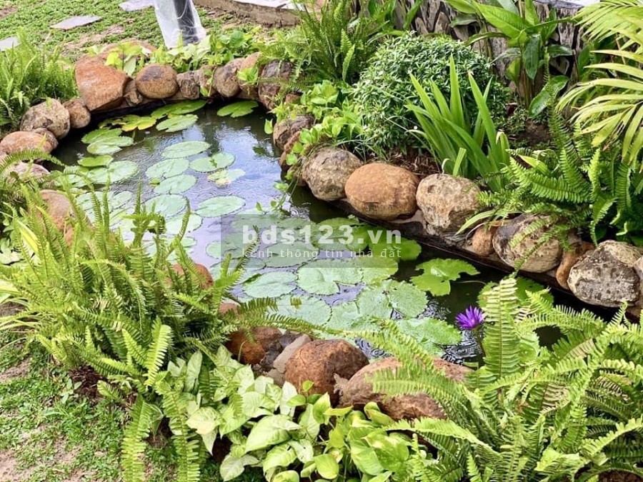 Đất biệt thự phủ hồng toàn bộ phù hợp xây biệt thự ở hoặc đầu tư, mặt tiền lớn