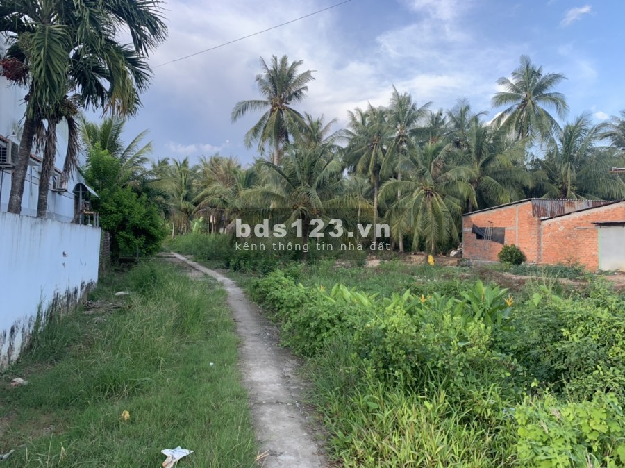 Hơn 2.2 công đất mặt tiền HL 173 liền kề trường tiểu học Phong Nẫm, lh 0345499316