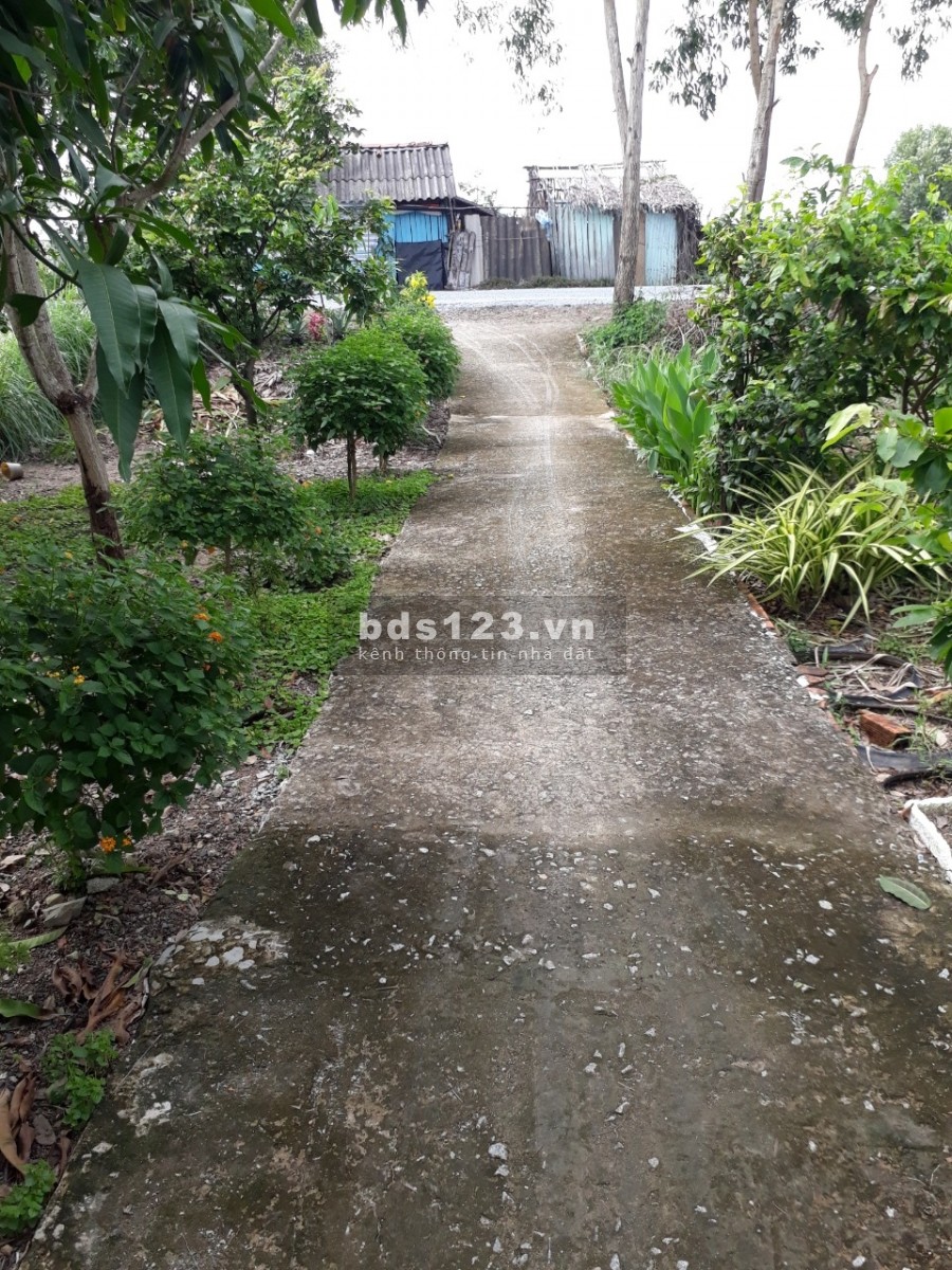 Cần bán gấp đất nền xã Lợi An huyện Trần Văn Thời, dt 300m2, giá 700 triệu