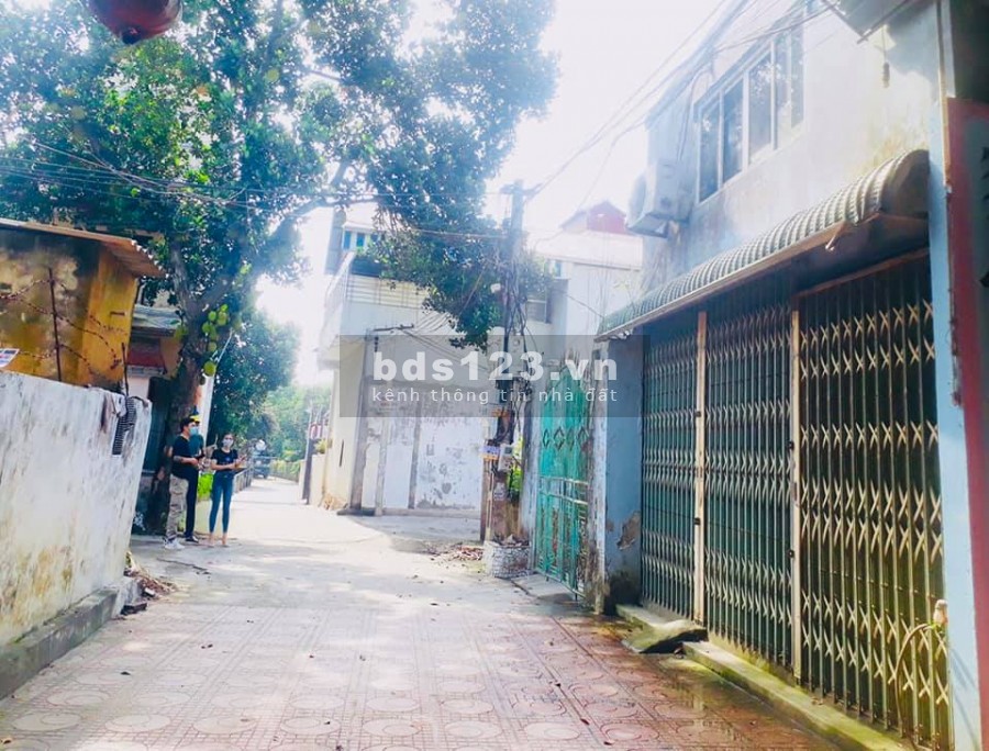 Cần tiền bán gấp Siêu phẩm Gà đẻ trứng Vàng, giá mùa dịch, Chương Mỹ, Hà Nội