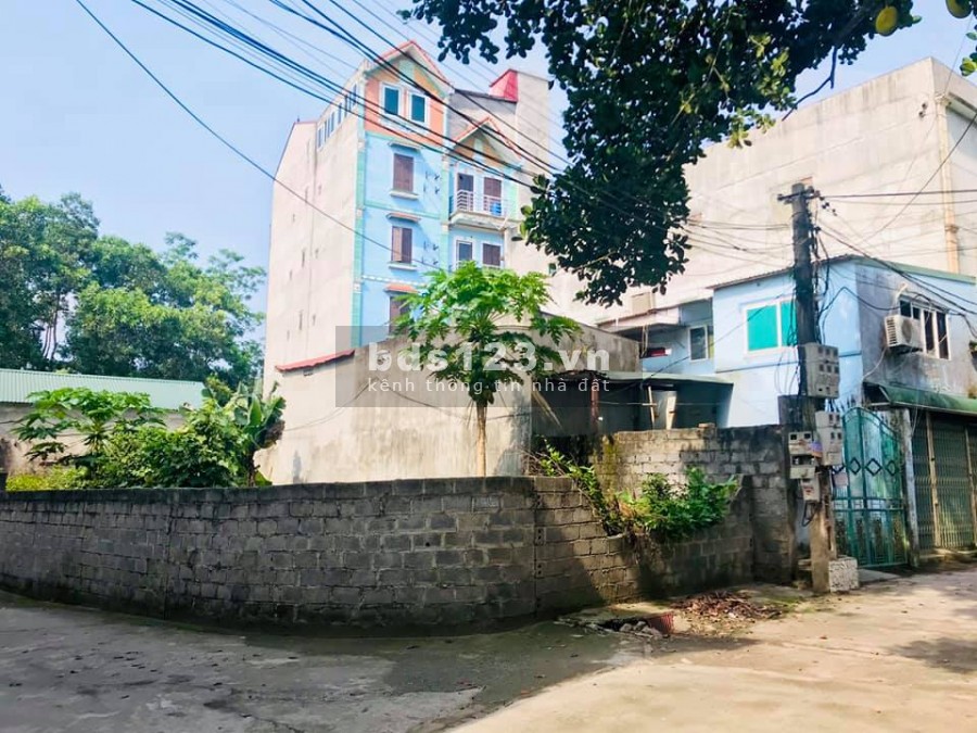 Cần tiền bán gấp Siêu phẩm Gà đẻ trứng Vàng, giá mùa dịch, Chương Mỹ, Hà Nội