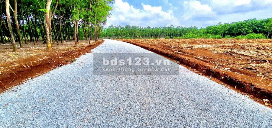 Cần bán công đất vườn 1000m2, mt đường lớn 24m, đối diện kcn Becamex, giá 390 triệu, shr