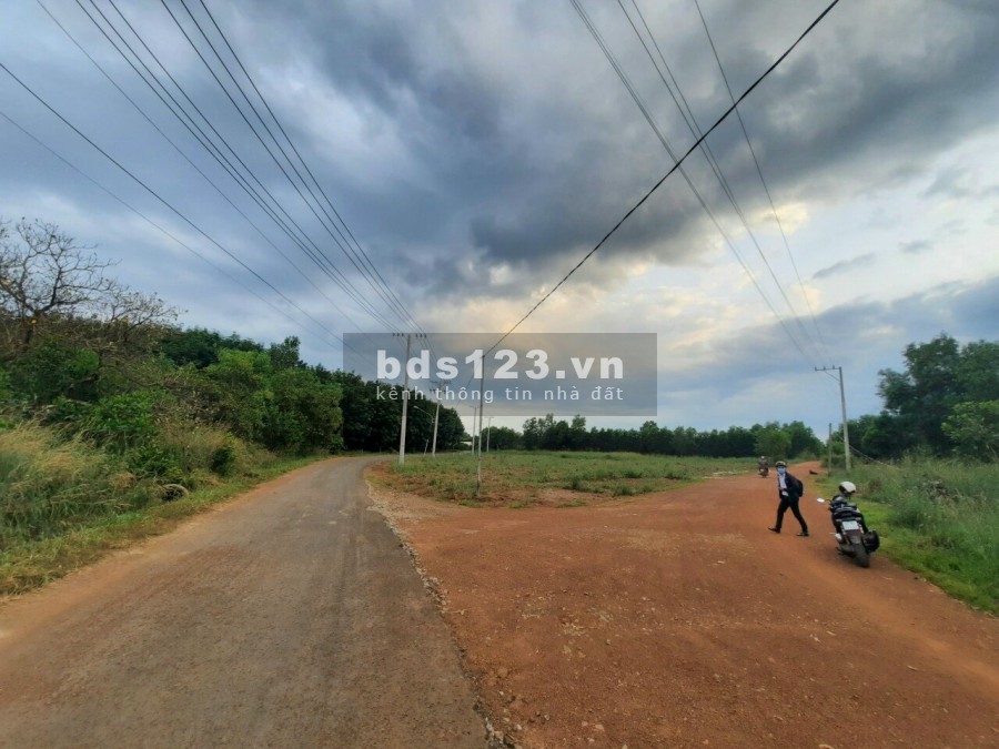 Bán đất Ngộp giá Siêu Rẻ tại Bình Phước, mặt tiền lớn, có điện, có dân