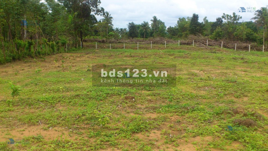 Bấn gấp lô đất 8068m2, có thổ cư ngã 4 đường 538 Phạm Thị Rực, giá 65 tỷ