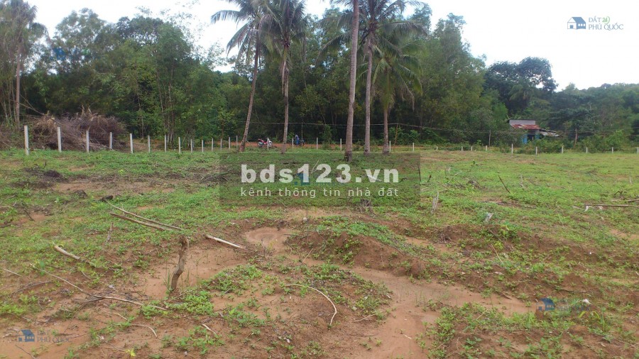 Bấn gấp lô đất 8068m2, có thổ cư ngã 4 đường 538 Phạm Thị Rực, giá 65 tỷ