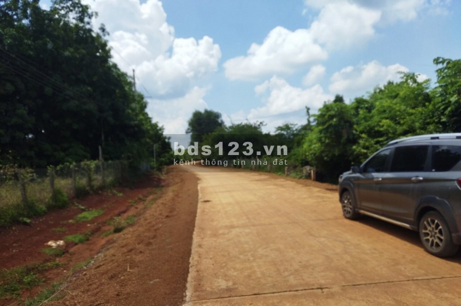 Đất Bình Phước chỉ từ 269tr có hỗ trợ ngân hàng, dân cư đông đúc
