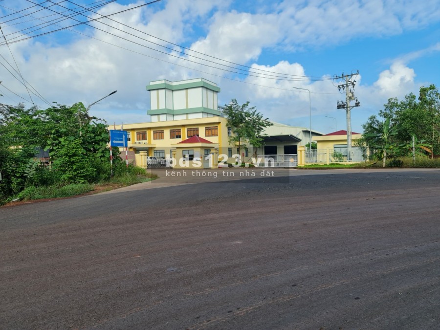 Đất sào Đồng Phú Bình Phước mặt tiền nhựa QH 29m 1000m2 chỉ 6xx triệu, sổ sẵn, ngay chợ, trường học, ủy ban