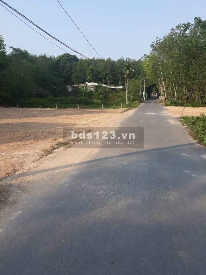 Bán Đất Mặt Tiền Đường Nhựa Gần Khu Công Nghiệp Bình Phước