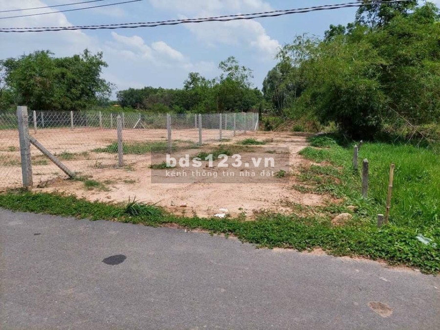 Bán Đất Mặt Tiền Đường Nhựa Gần Khu Công Nghiệp Bình Phước