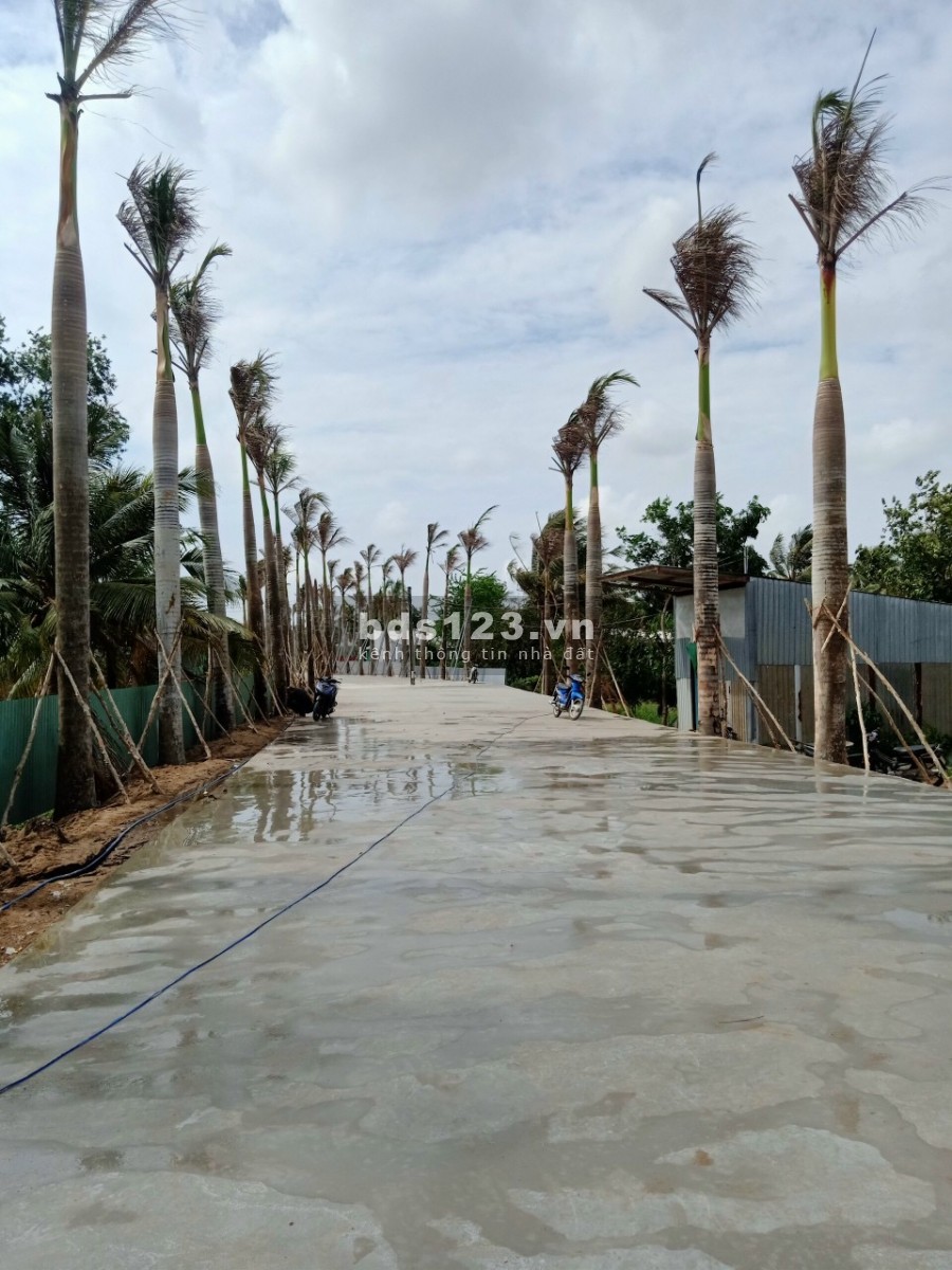 Bán đất nền dự án Center Mall tành Phố Bạc Liêu, cây xanh phủ kín