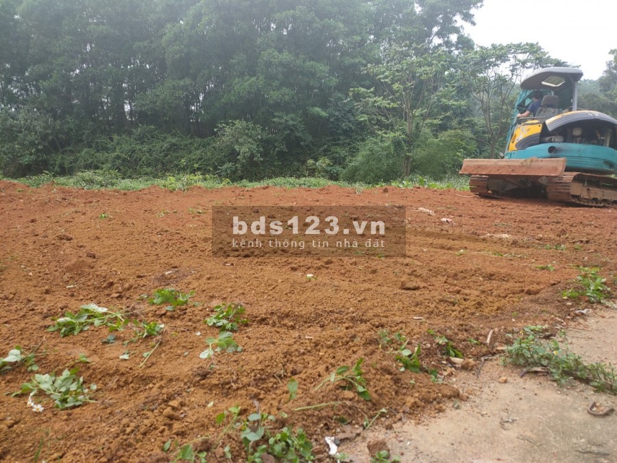 Bán lô 2 trục chính , xã Hòa Thạch, huyện Quốc Oai, tp Hà Nội, diện tích 525 mét