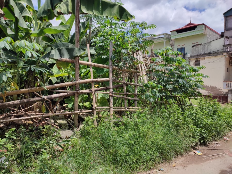 Bán 56m2 trục chính Đại Bằng, Nguyên Khê, huyện Đông Anh, lh 0362608492