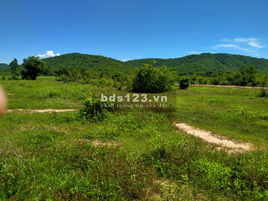 Cần bán lô đất 2800m2, tại Bình Tân, sông Luỹ, tỉnh Bình Thuận