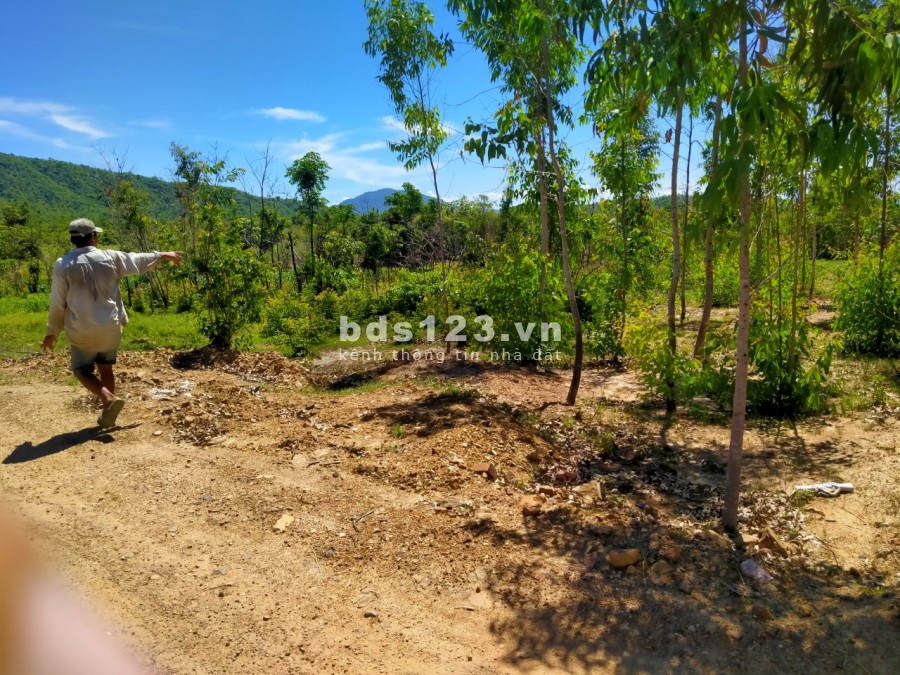 Cần bán lô đất 2800m2, tại Bình Tân, sông Luỹ, tỉnh Bình Thuận