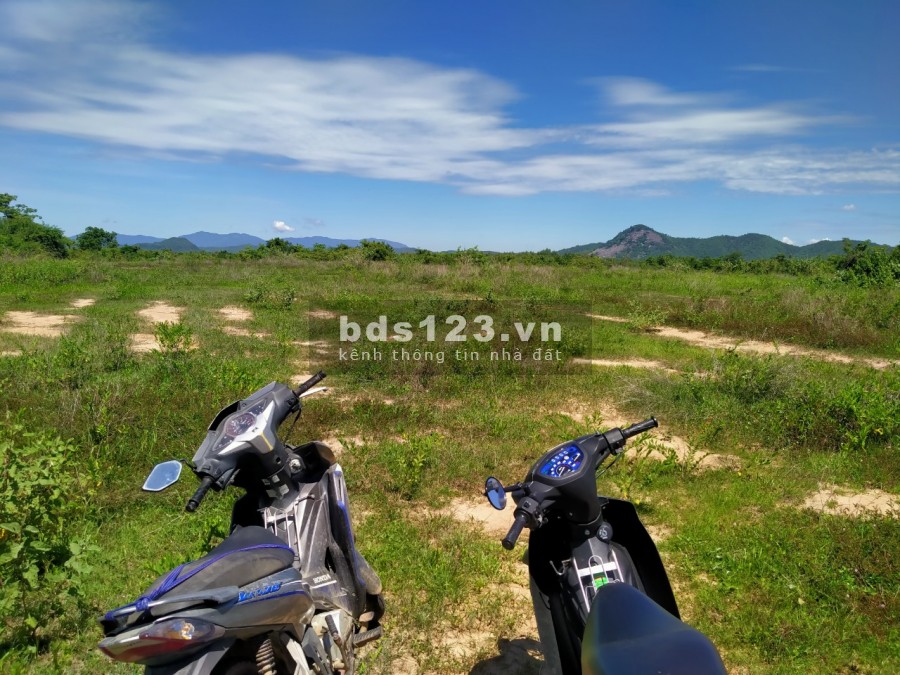 Cần bán lô đất 2800m2, tại Bình Tân, sông Luỹ, tỉnh Bình Thuận