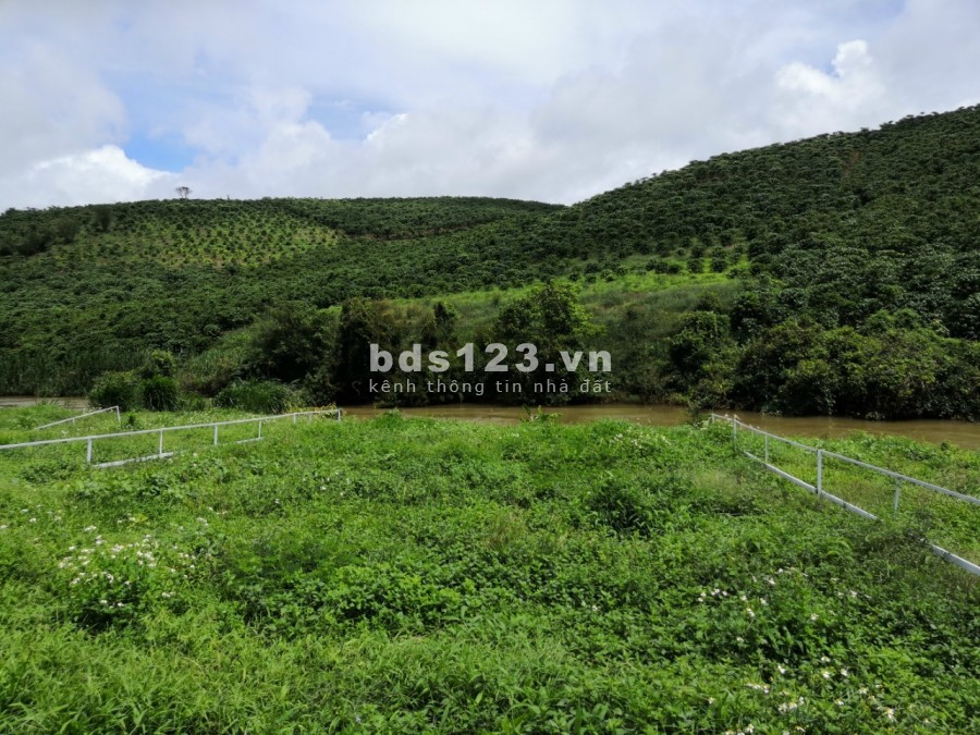 Đất view sông Đại Nga dt 555m2 (10X55m), đường nhựa 8m, cách Bảo Lộc 7km, giá 900 triệu