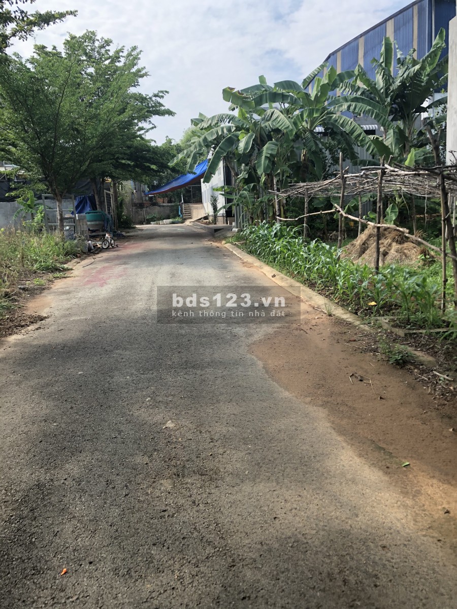 Cần tiền trả nợ gia đình tôi cần bán lô đất sát quốc lộ 13, đường thông dân đông sổ hồng có sẵn công chứng ngay