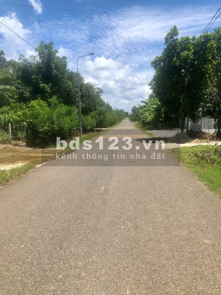Bán đất khu vực Định Quán - Đồng Nai, gần chợ, khu dân cư đông đúc