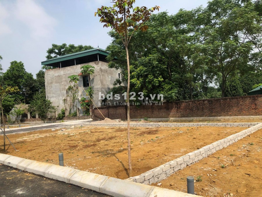 Chính chủ cần bán Gấp khu đất nền Đồng Trúc, Thạch Thất, LH 0981901069