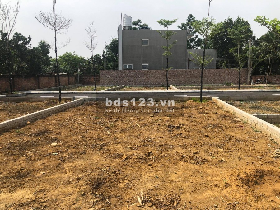 Chính chủ cần bán Gấp khu đất nền Đồng Trúc, Thạch Thất, LH 0981901069
