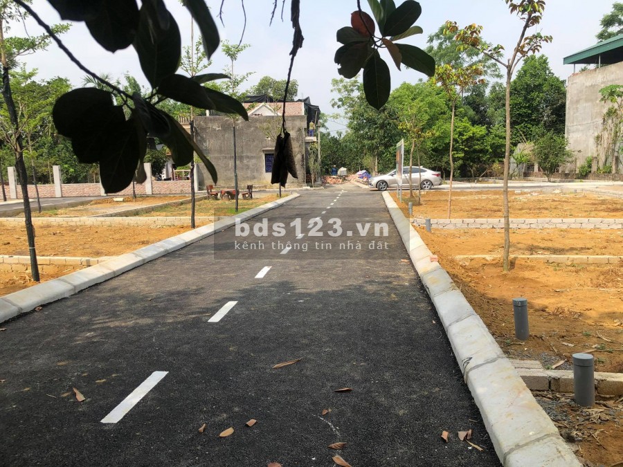 Chính chủ cần bán Gấp khu đất nền Đồng Trúc, Thạch Thất, LH 0981901069