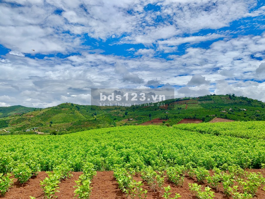 duy nhất 1 nền tặng nhà gỗ 24m2 trên 500m2 đất. giá chỉ 850tr khu nghĩ dưỡng
