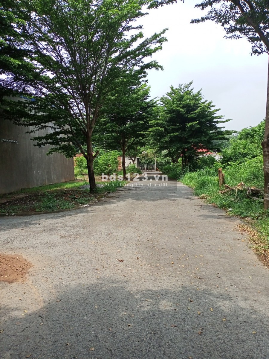 Sang gâp lô đất 110m2 gần kcn, gần chợ và trường học xây tự do sát quốc lộ 13, dân cư đông kín