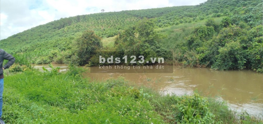 Đất view sông Đại Nga dt 555m2 (10X55m), đường nhựa 8m, cách Bảo Lộc 7km, giá 900 triệu