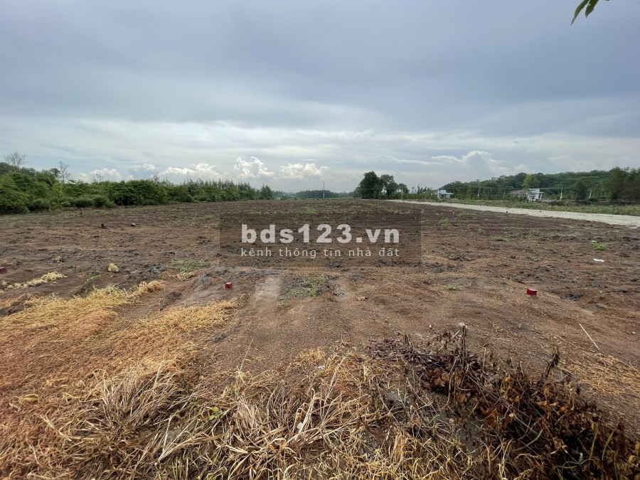 Khu Dân Cư Phú Mỹ Avenue - Đất vàng mặt tiền đại lộ, sổ hồng riêng