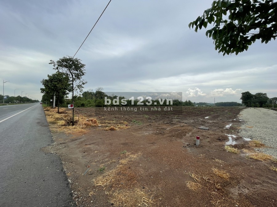Khu Dân Cư Phú Mỹ Avenue - Đất vàng mặt tiền đại lộ, sổ hồng riêng