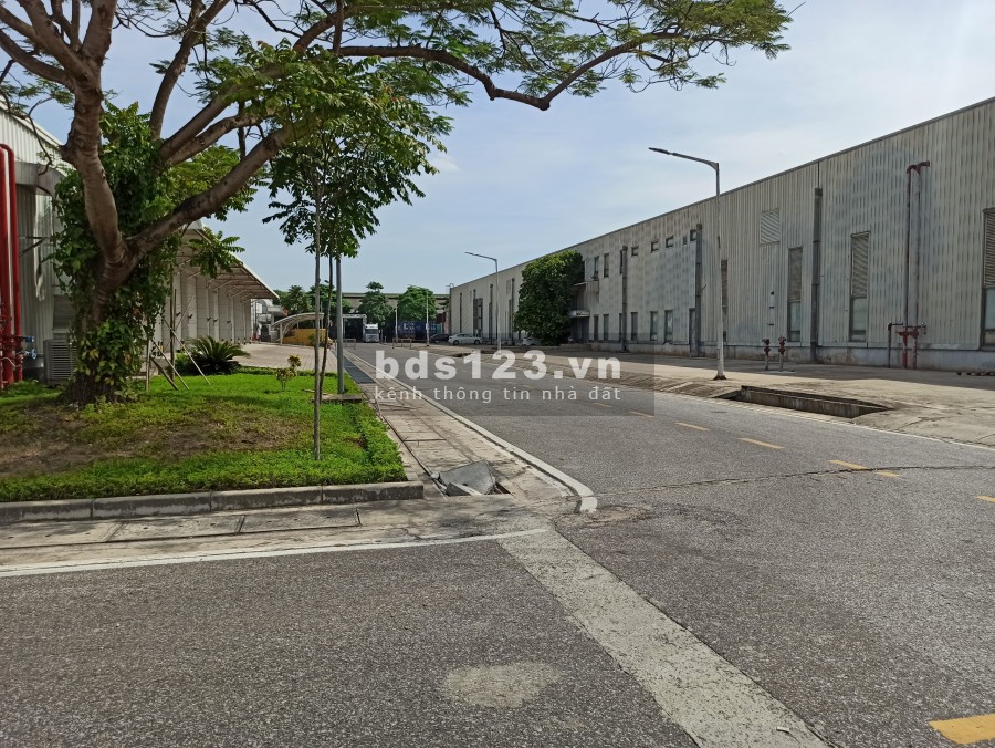 Cảng cạn ICD Long Biên - 10.000m2 kho bãi sẵn sàng cho thuê