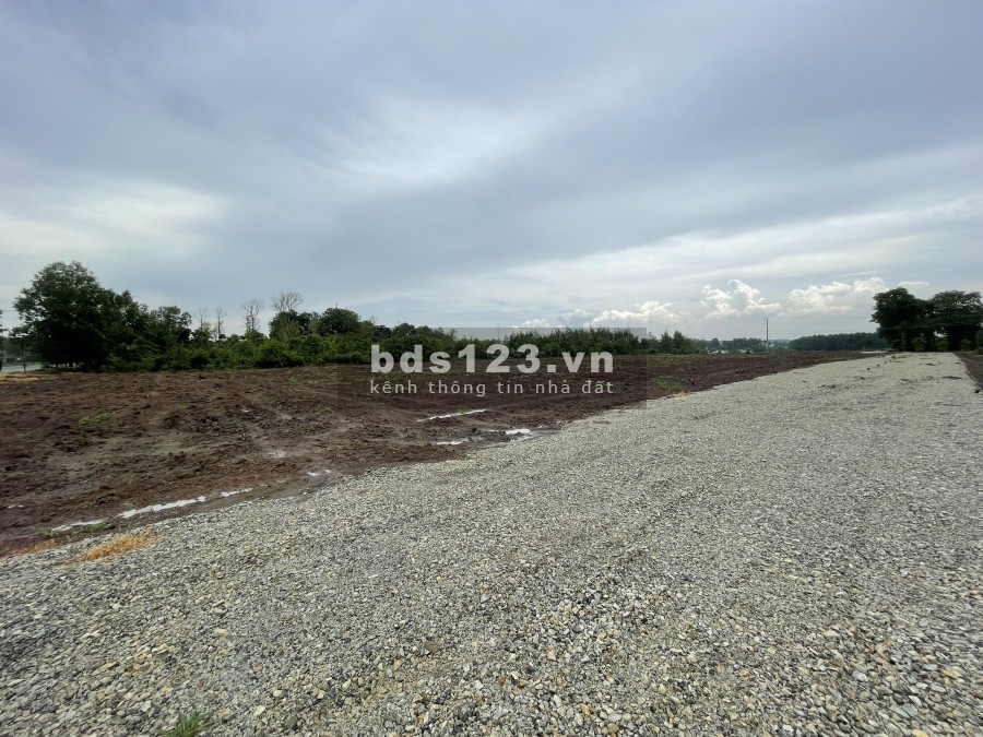 Khu Dân Cư Phú Mỹ Avenue - Đất vàng mặt tiền đại lộ, sổ hồng riêng